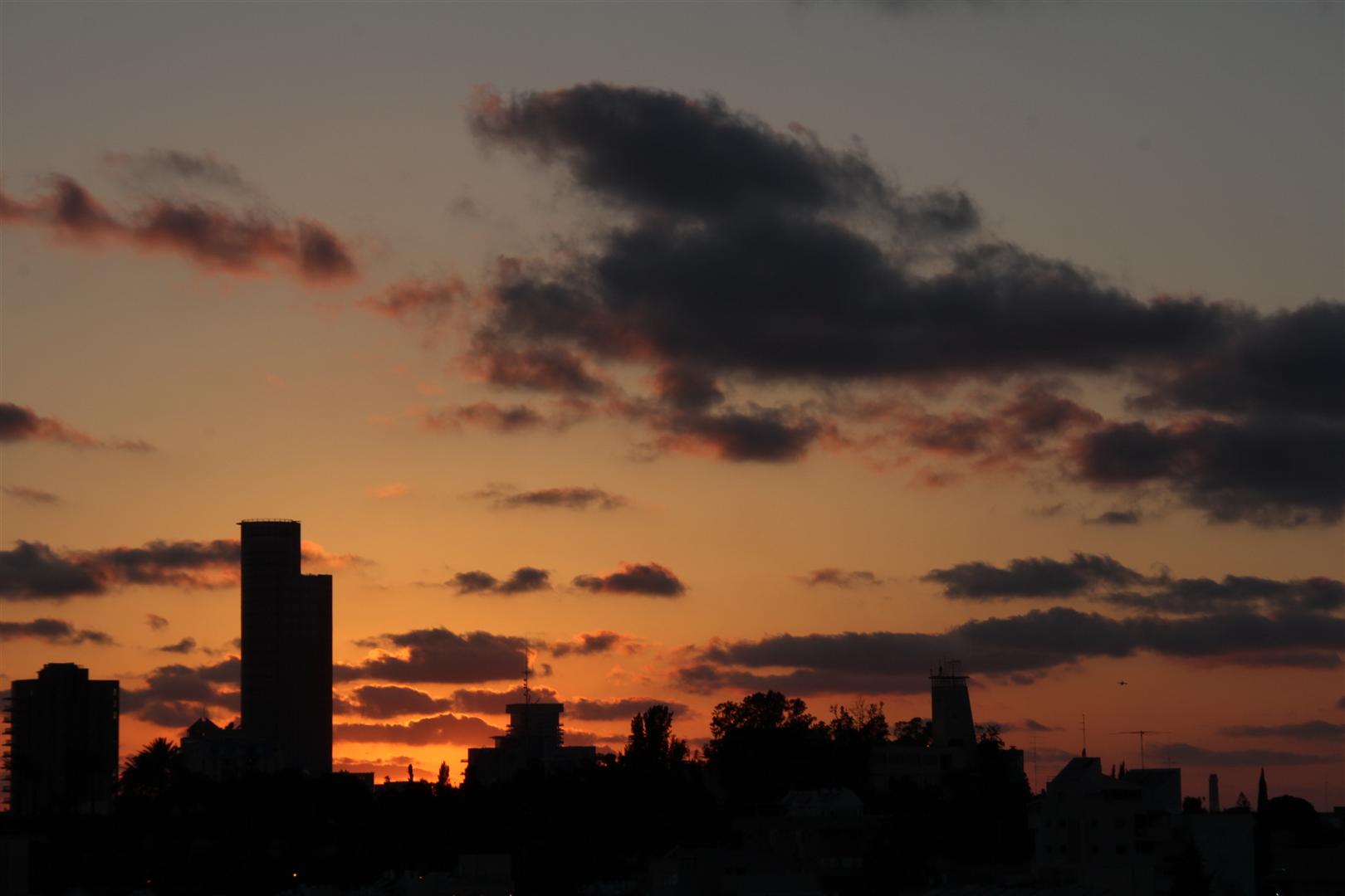 ניסוי - הבלוג של אודי בורג
